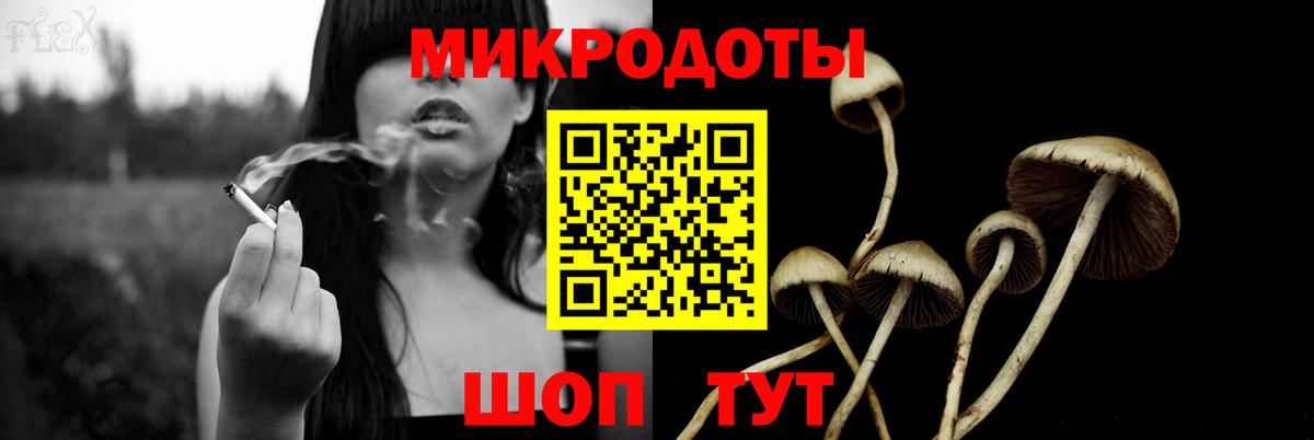 Псилоцибиновые грибы мицелий Богородск